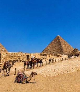 Excursión para crucero en Pirámides de Guiza y Gran Museo Egipcio (GEM), desde Alejandría
