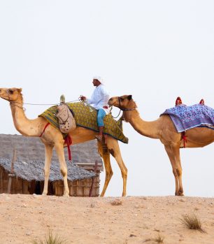 Excursión para crucero en Safari por el Desierto, desde Dubai
