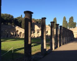 Columnas en excursión para cruceros a Pompeya