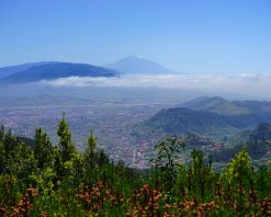 Vistas al Teide Tenerife