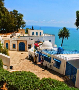 Excursión para crucero en Túnez: Panorámica de Cartago, Medina y Sidi Bou Said